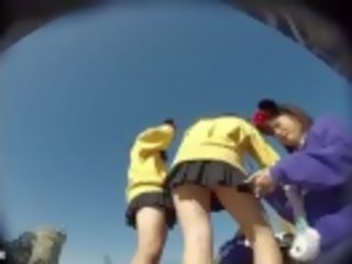 Upskirt 22